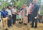 প্রধানমন্ত্রীর ২৫ কোটি বৃক্ষরোপণ কর্মসূচির অংশ হিসেবে নড়াইলে ফলদ ও বনজ বৃক্ষরোপণ কর্মসূচি পালিত