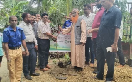 প্রধানমন্ত্রীর ২৫ কোটি বৃক্ষরোপণ কর্মসূচির অংশ হিসেবে নড়াইলে ফলদ ও বনজ বৃক্ষরোপণ কর্মসূচি পালিত