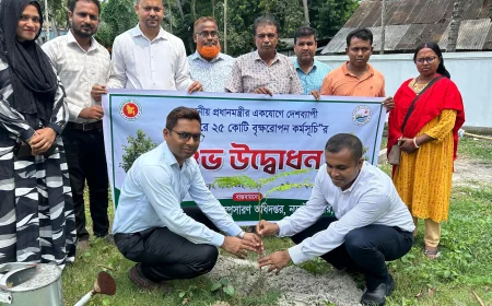 নড়াইলে কৃষি সম্প্রসারণ অধিদপ্তরের উদ্যোগে ফলদ ও বনজ বৃক্ষরোপণ কর্মসূচি পালিত