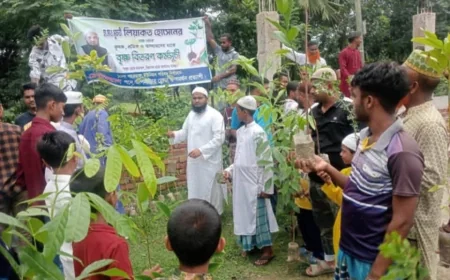 কালিয়ার পহরডাঙ্গায় এলাকাবাসীর মাঝে গাছের চারা বিতরণ