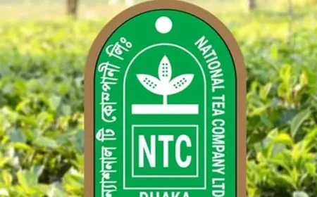 ন্যাশনাল টি কোম্পানির টিকে থাকা নিয়ে বড় শঙ্কা