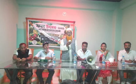 নড়াইলে বেবী কেয়ার স্কুলের ফল উৎসবের আয়োজন