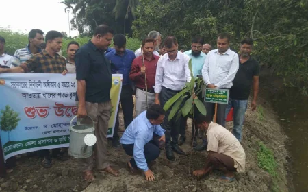নড়াইলে খালের পাড়ে বৃক্ষরোপণ কর্মসূচির উদ্বোধন