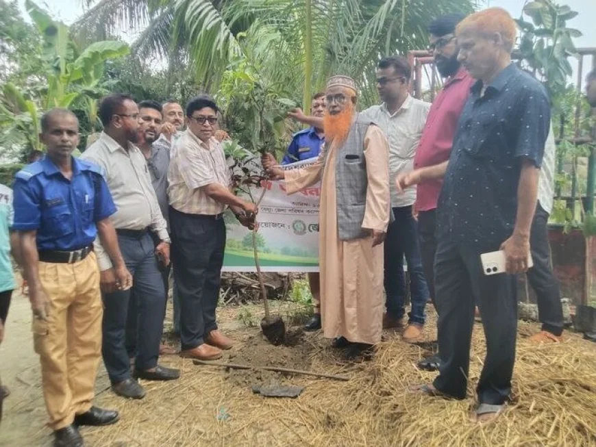 প্রধানমন্ত্রীর ২৫ কোটি বৃক্ষরোপণ কর্মসূচির অংশ হিসেবে নড়াইলে ফলদ ও বনজ বৃক্ষরোপণ কর্মসূচি পালিত