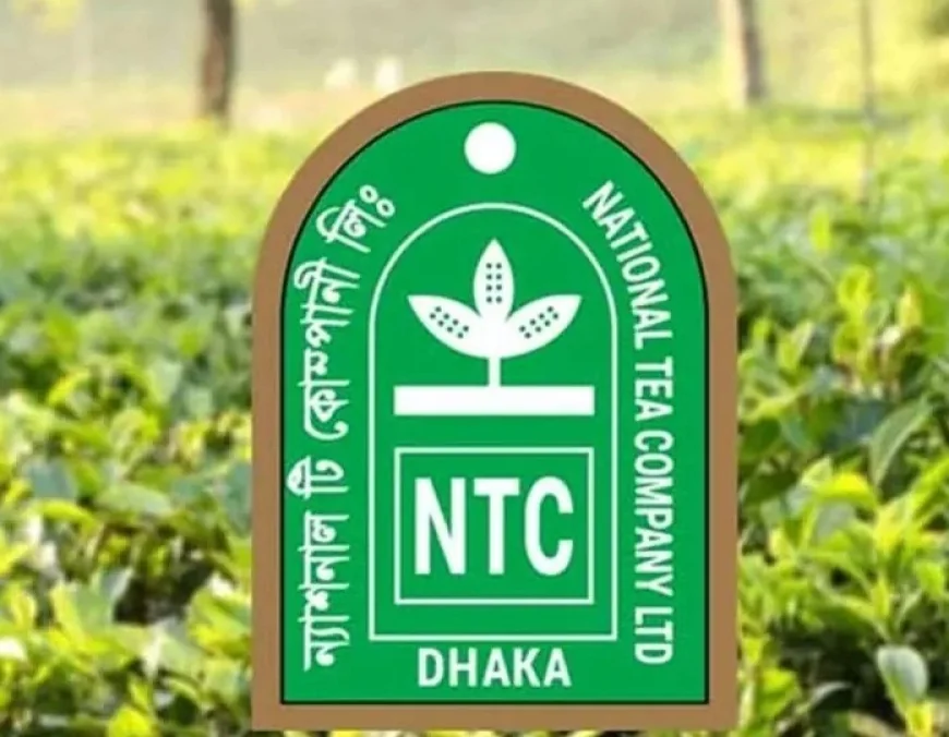 ন্যাশনাল টি কোম্পানির টিকে থাকা নিয়ে বড় শঙ্কা