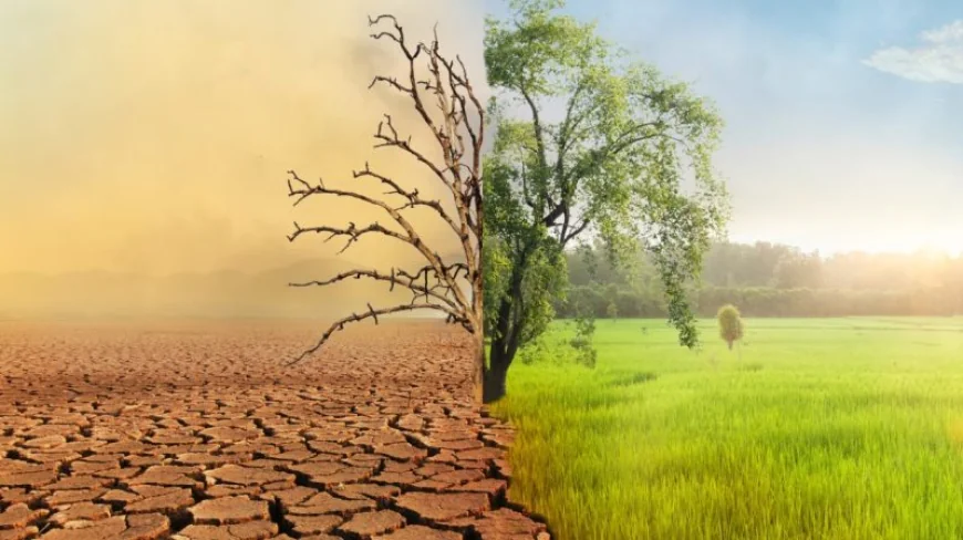 জলবায়ু পরিবর্তনের প্রভাব বাংলাদেশে কতটা?