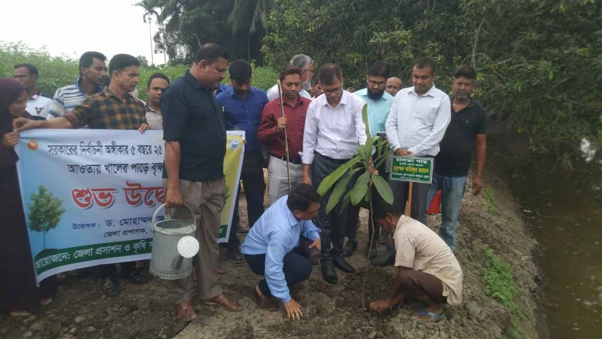 নড়াইলে খালের পাড়ে বৃক্ষরোপণ কর্মসূচির উদ্বোধন