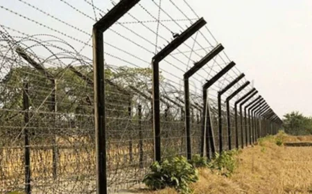 সীমান্ত এলাকার  শূন্যরেখায় মিললো নারীর মরদেহ