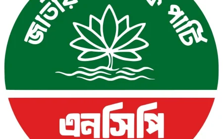 এনসিপির সমাবেশে ককটেল বিস্ফোরন