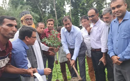 নড়াইলে কৃষি উপকরণ বিতরণ কর্মসূচির উদ্বোধন