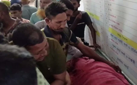 সেতুতে দেয়া লোহার বারে লেগে মারা গেলেন গরু ব্যবসায়ী
