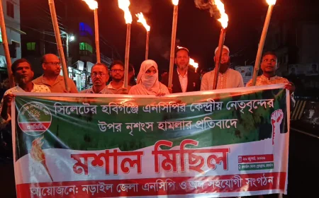 নড়াইলে এনসিপির মশাল মিছিল ও সমাবেশ অনুষ্ঠিত
