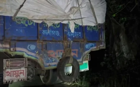 ট্রাকের নিচে ঝরে গেল নড়াইলের একটি পরিবারের তিন প্রাণ, বেঁচে রইলেন শুধু বাবা