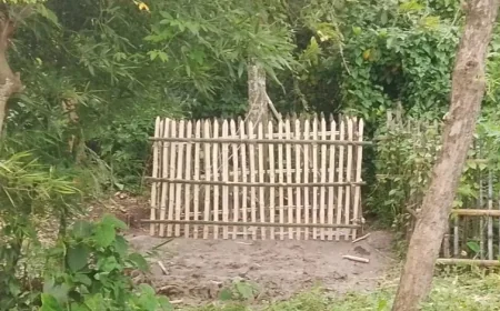 চাঁদা বকেয়ার অভিযোগে স্থানীয় কবরস্থানে দাফন হলো না নাসির উদ্দিনের