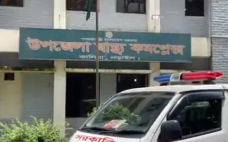 নড়াইলে বিদ্যুৎস্পৃষ্ট হয়ে এক জনের  মৃত্যু
