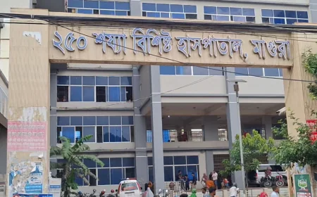 মাগুরায় দুই মোটরসাইকেলের মুখোমুখি সংঘর্ষে নিহত ২