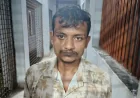 নড়াইলে পুলিশের অভিযানে ৯৫ পিস ইয়াবাসহ যুবক আটক