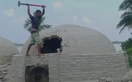 নড়াইলে অবৈধ কয়লা কারখানা গুঁড়িয়ে দিয়ে প্রশাসন
