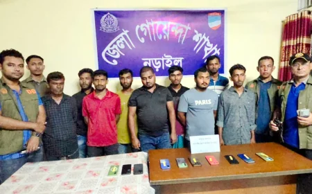 অনলাইনে ইলিশ মাছ প্রতারণা ও জুয়ার অভিযোগে ৯ জন গ্রেফতার