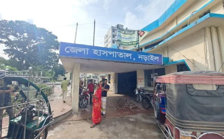 নড়াইলে চাচাতো ভাইকে কুপিয়ে হত্যার অভিযোগ