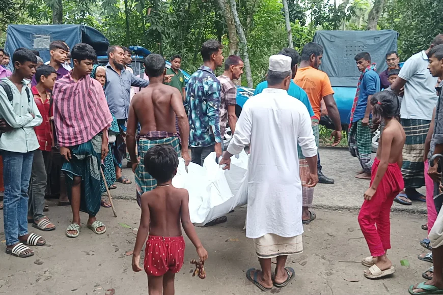 News Image